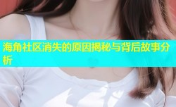 海角社区消失的原因揭秘与背后故事分析