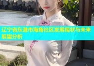 辽宁省东港市海角社区发展现状与未来展望分析