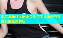湛江海角社区居委会周边生活服务与社区发展全景解析