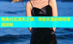 海角社区消失之谜：寻找失落的网络家园探秘