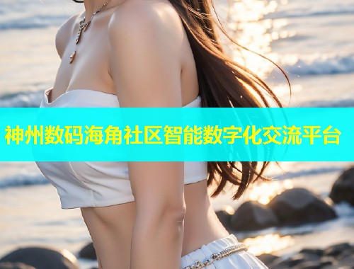 神州数码海角社区智能数字化交流平台  第1张